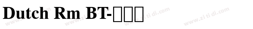 Dutch Rm BT字体转换